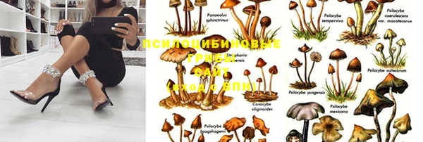 таблы Заволжье