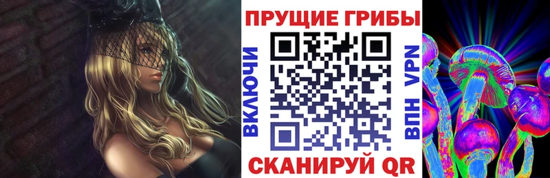 Купить  Ялуторовск  Галлюциногенные грибы мицелий 